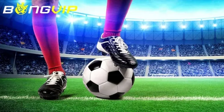 Giải Mã Sức Hút Nhà Cái Bongvip Đẳng Cấp Thượng Lưu Số Một