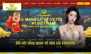 Tận Hưởng Khuyến Mãi Nhà Cái Vando88 Siêu Hấp Dẫn Hiện Nay